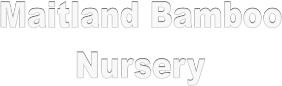 Maitland Bamboo
Nursery