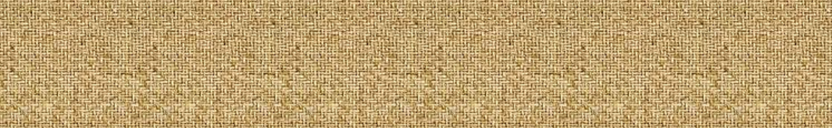 maitland fl bamboo plants